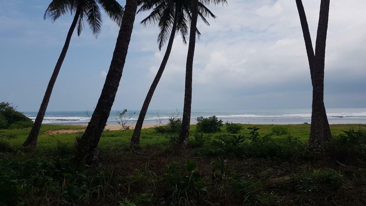 Oseda Nias Surf House Hotel Hilibotodane Buitenkant foto
