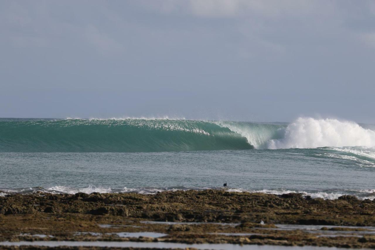 Oseda Nias Surf House Hotel Hilibotodane Buitenkant foto